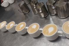 咖啡店營運及咖啡沖調工作坊相片